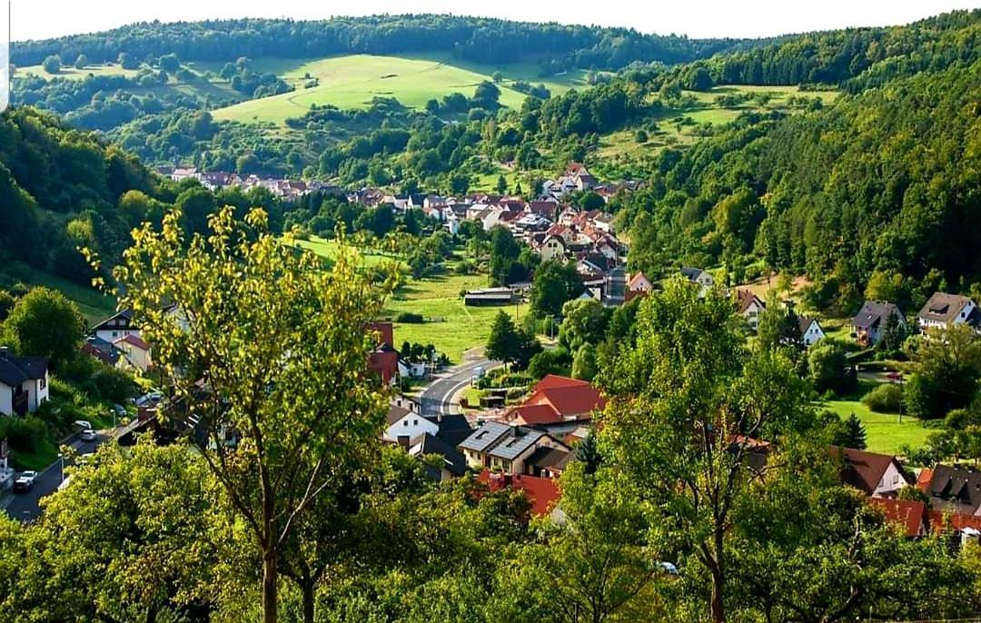 Geishoehe Landgasthof Rose Dammbach 外观 照片