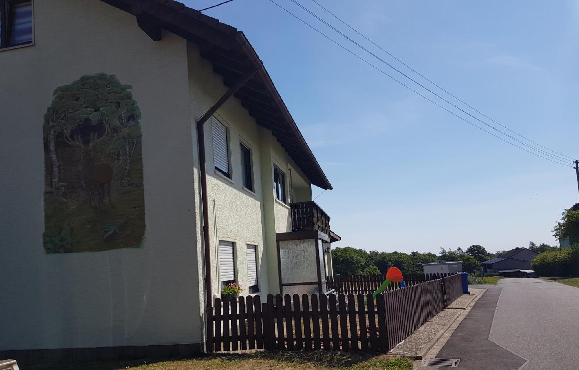 Geishoehe Landgasthof Rose Dammbach 客房 照片